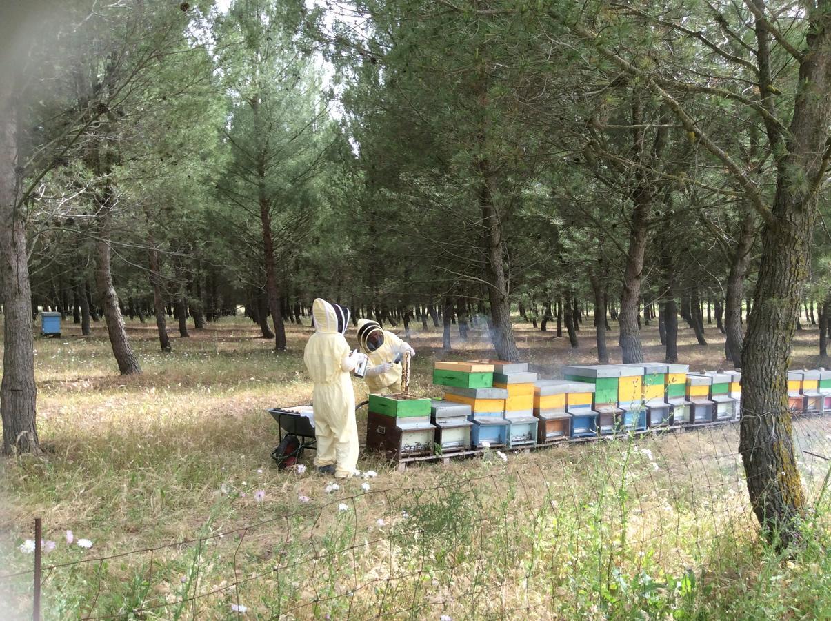 Agriturismo Gennemara B&B Perdaxius Dış mekan fotoğraf