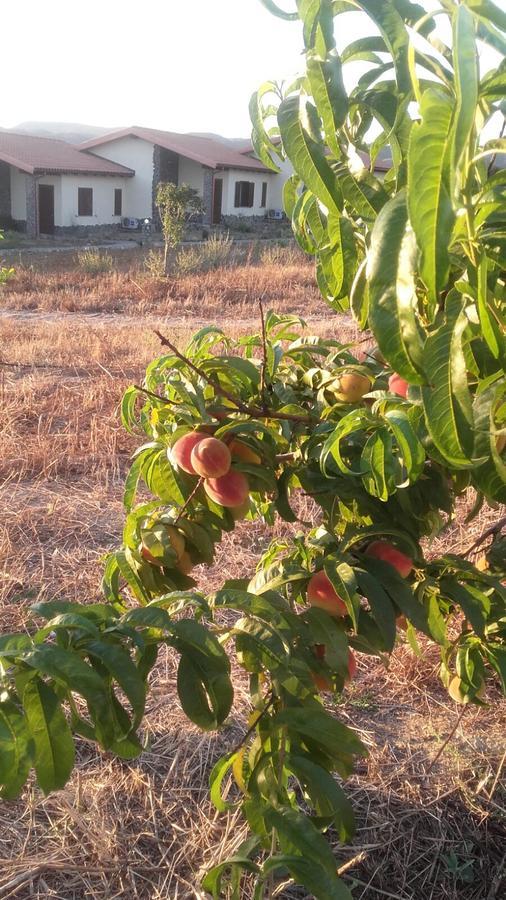 Agriturismo Gennemara B&B Perdaxius Dış mekan fotoğraf