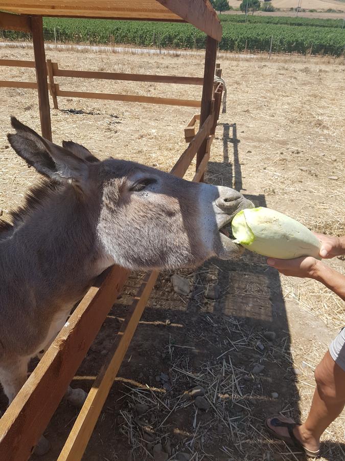 Agriturismo Gennemara B&B Perdaxius Dış mekan fotoğraf