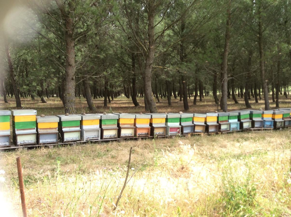 Agriturismo Gennemara B&B Perdaxius Dış mekan fotoğraf